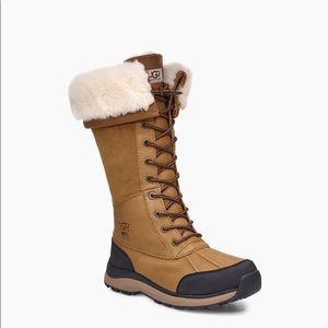 Ugh Tall Adirondack Boots in Chestnut